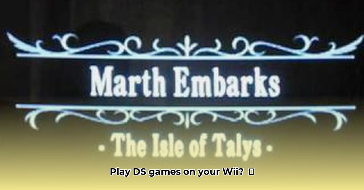 desmume-wii-download